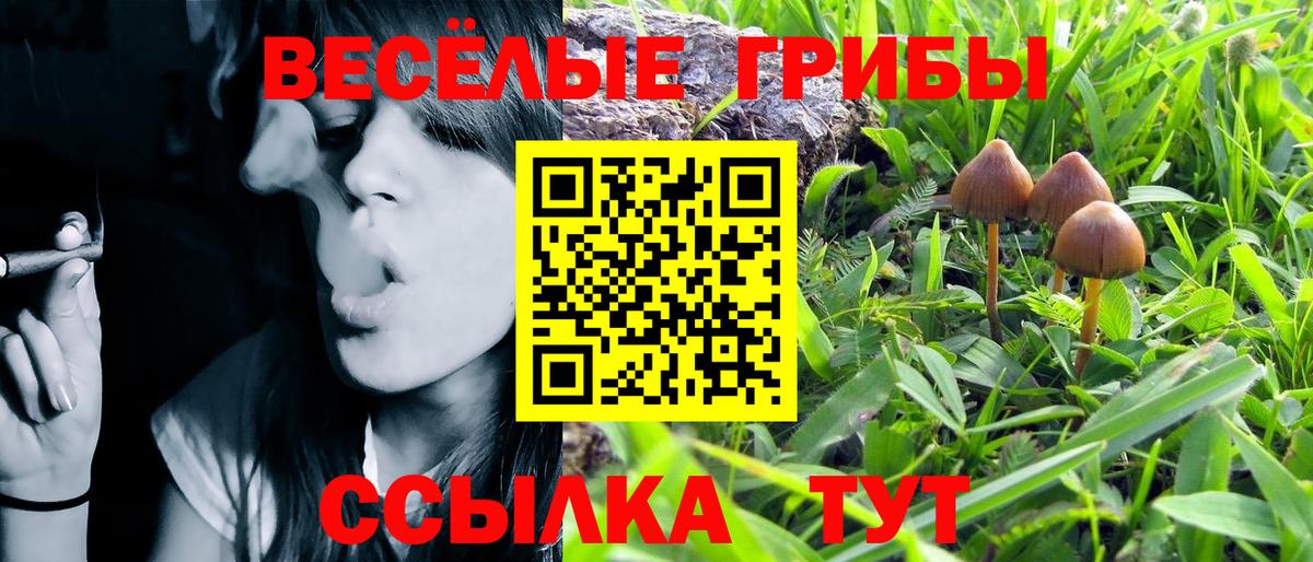 Галлюциногенные грибы MAGIC MUSHROOMS Чапаевск
